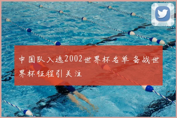 中国队入选2002世界杯名单 备战世界杯征程引关注