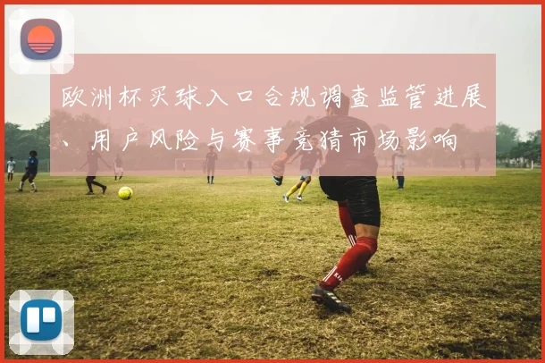 欧洲杯买球入口合规调查监管进展、用户风险与赛事竞猜市场影响