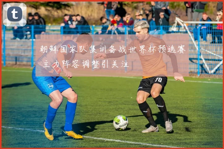 朝鲜国家队集训备战世界杯预选赛 主力阵容调整引关注