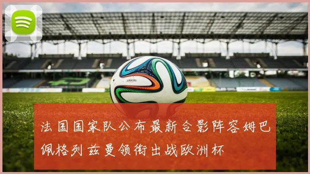 法国国家队公布最新合影阵容姆巴佩格列兹曼领衔出战欧洲杯